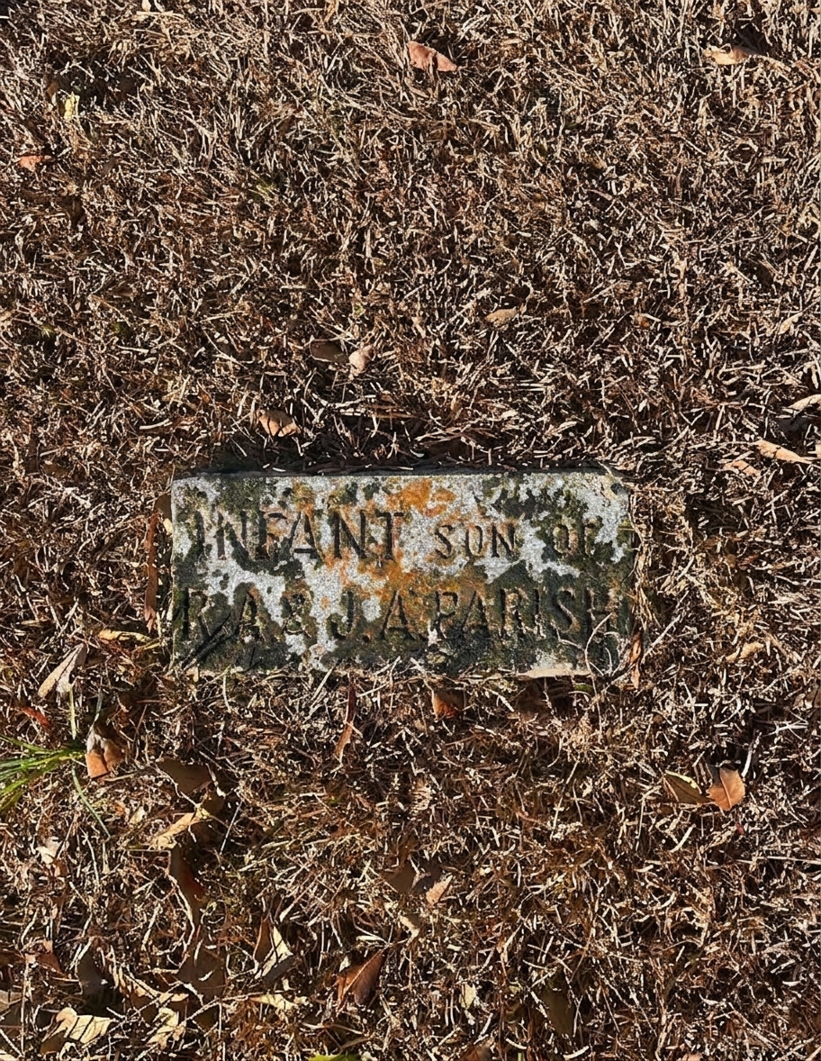 An infant's marker covered in moss, lichen, and orange algae — barely legible
